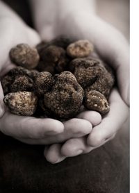 The Truffle Hunter's Paradox