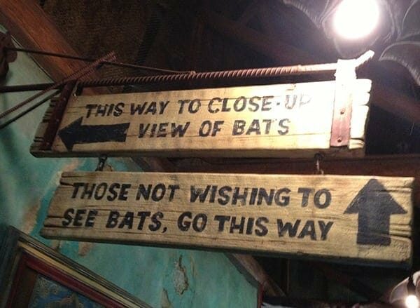 7 - Give Idiot-Proof Directions 7 Magical Marketing Lessons From Disney World: Give Idiot Proof Directions