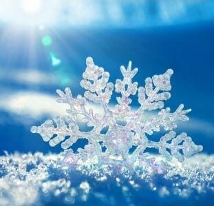 Do You Have The Snowflake Mindset?