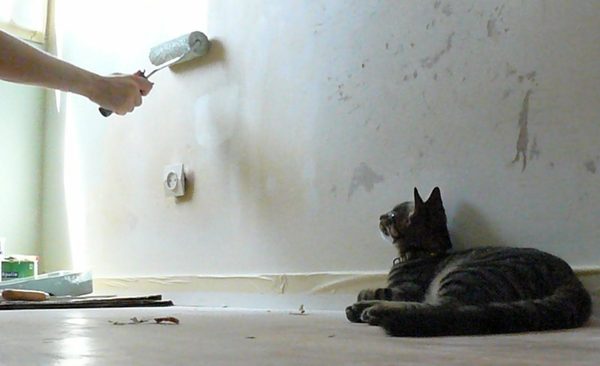 The HSBC Story: Watching Paint Dry