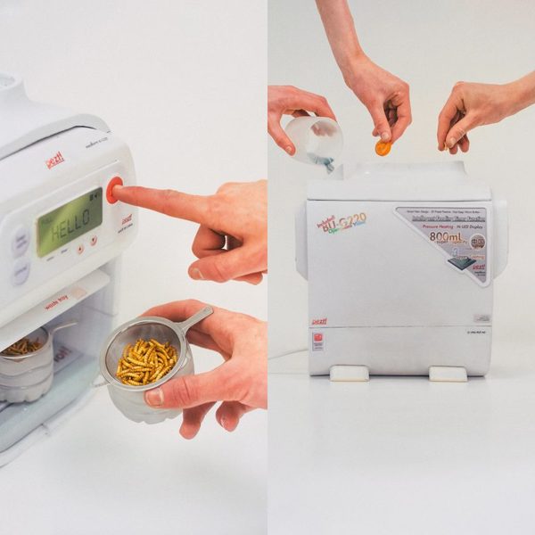 Bug based protein food product