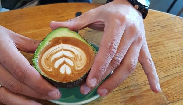 avolatte