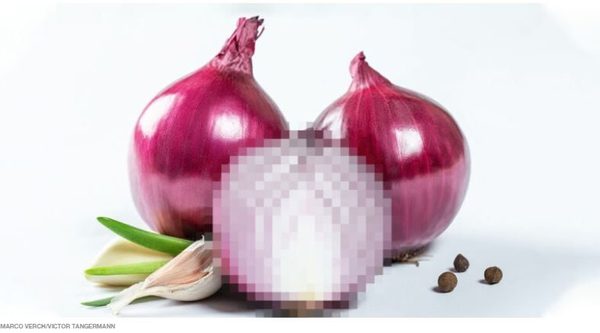A Gaze Seed Company advertisement showing two onions