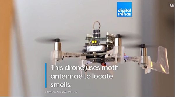 This New “Smellicopter” Drone Uses a Real Live Moth Antenna to Smell