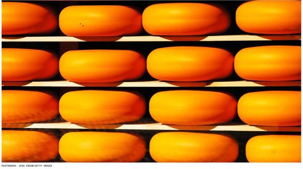 An assortment of cheese