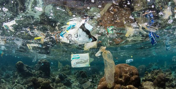 Plastic bags floating in the ocean