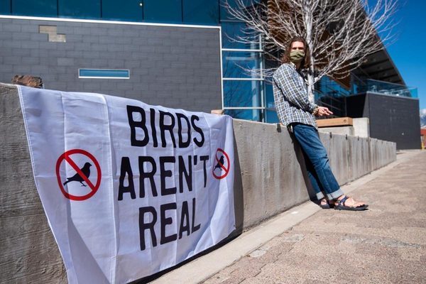 A protester holding a Birds Aren't Real sign