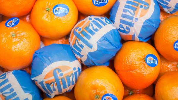 Close up of branded stickers on oranges