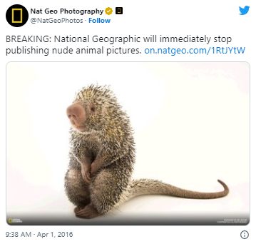 A National Geographic April Fool's Day brand prank