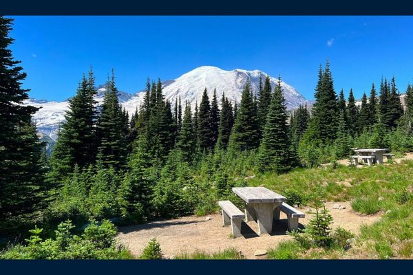 The Magical Mashup of National Parks and a Nobel Laureate's Poetry