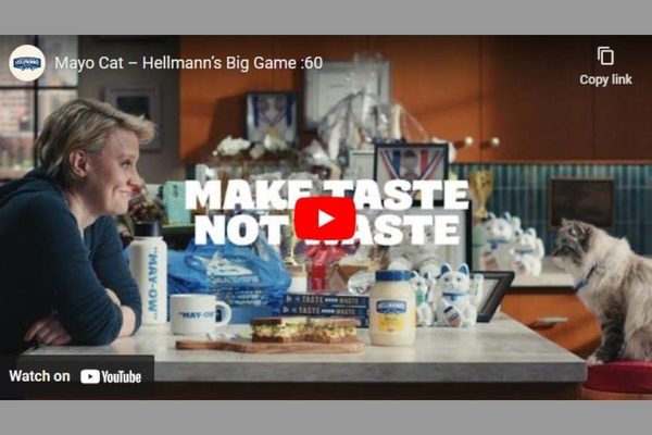 Super Bowl Marketing Recap: Mayo Cat Hellemanns