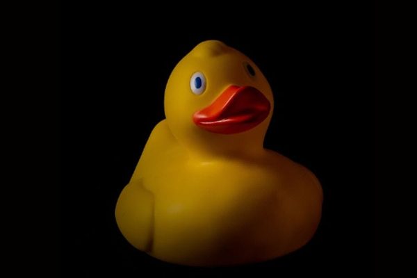 The Unpredictable Gamble of Collecting Vintage Toys: Rubber duck