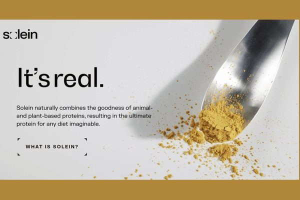 Welcome to a Future Where Food Is Made from Thin Air