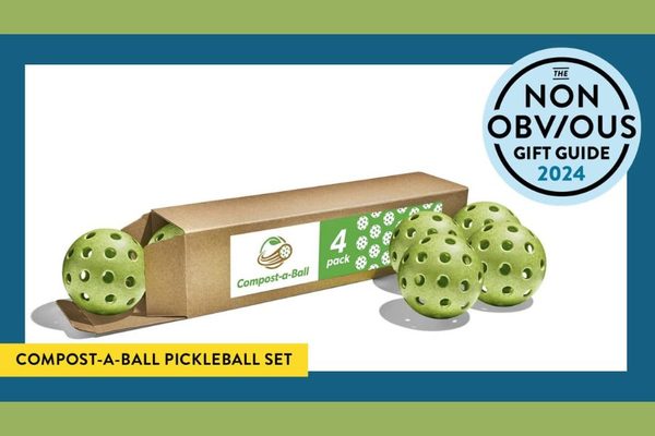 The Non-Obvious 2024 Holiday Gift Guide: Ideas 7-9