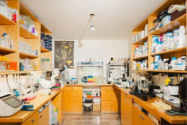 The Brilliant Entrepreneurial Lessons of a Plant Hacker Inventing New Flowers: Inventing flowers