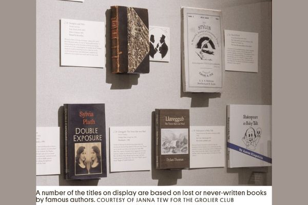 Library of imaginary books 900x600