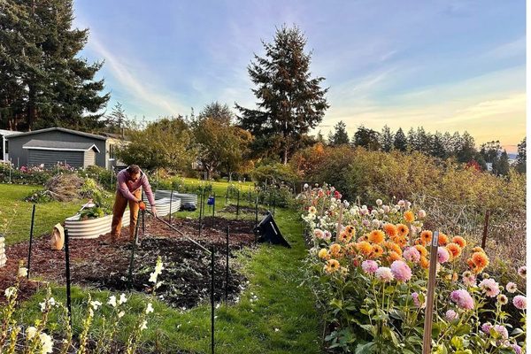 What Is Millennial Hobby Energy?: Dahlias hobby