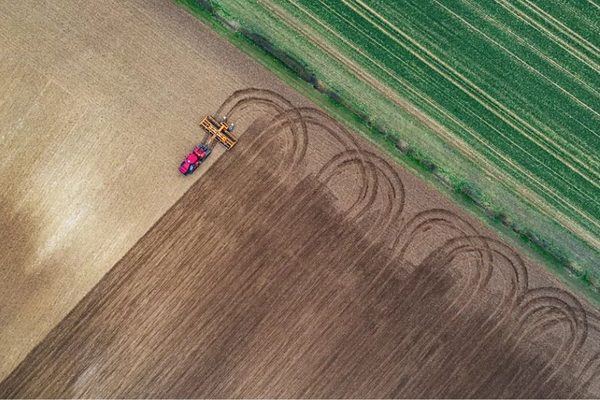 The Future of Agriculture Is Peak Farmland + Growing Reforestation