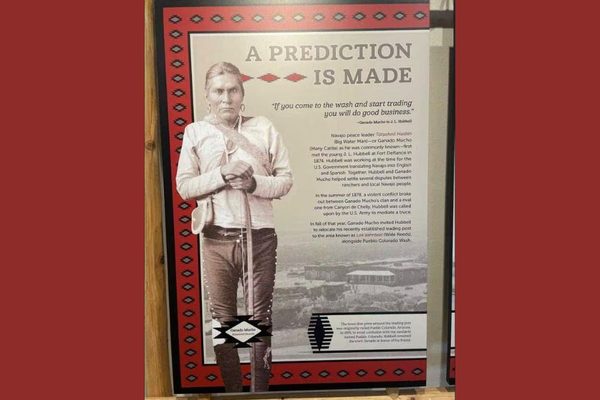 The Professor Saving History and Truth with Guerilla Teaching Methods: Professor Saves History