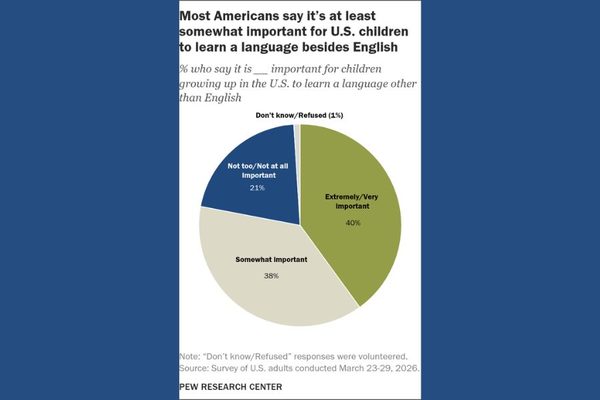 The Foreign Language Learning Problem in Schools: Foreign language learning