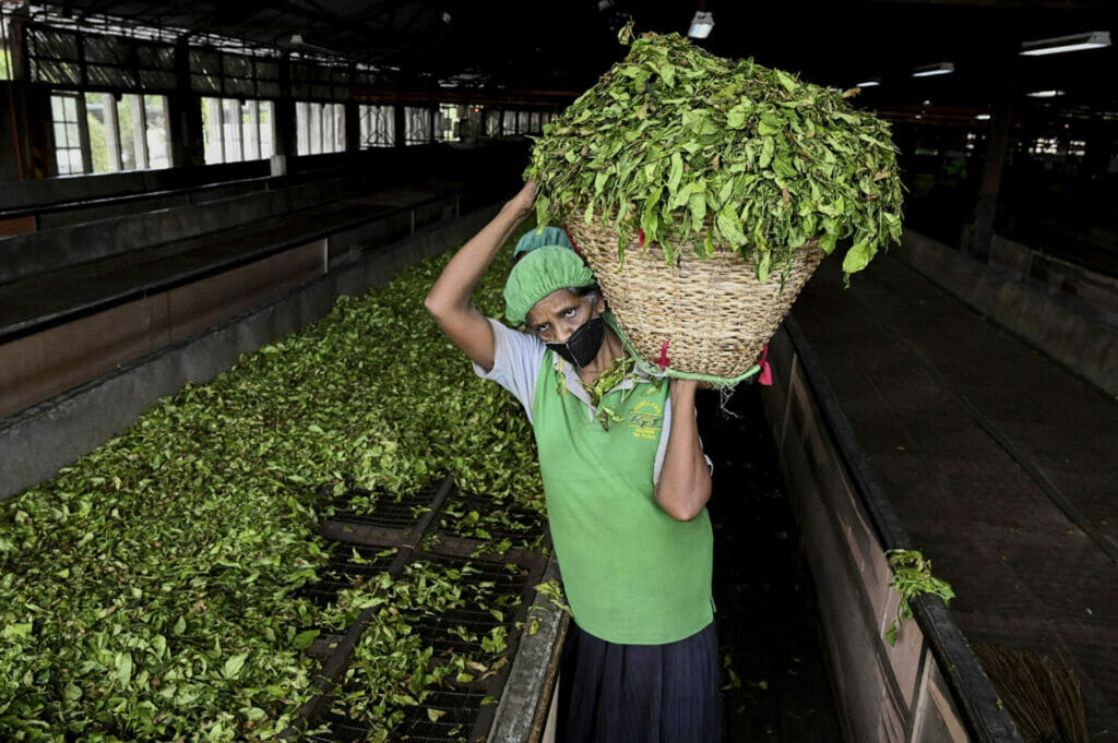 sri lanka farming crisis