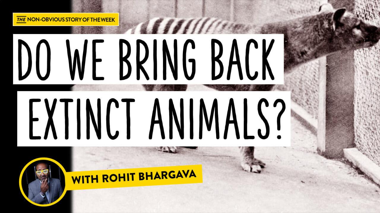 Should We Bring Extinct Animals Back To Life? - Rohit Bhargava