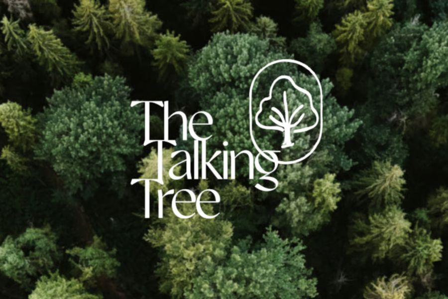 The Talking Tree