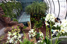 IMB_SingaporeChangi_bgarden1