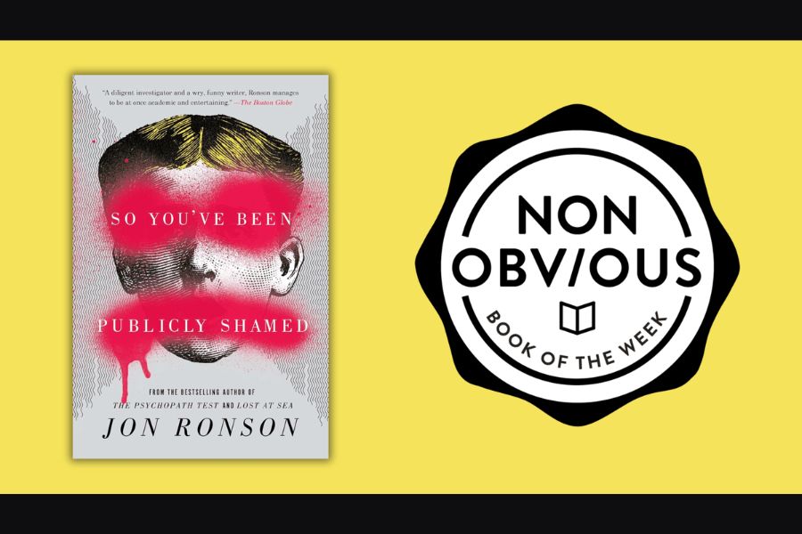 NOBW_So Youve Been Publicly Shamed