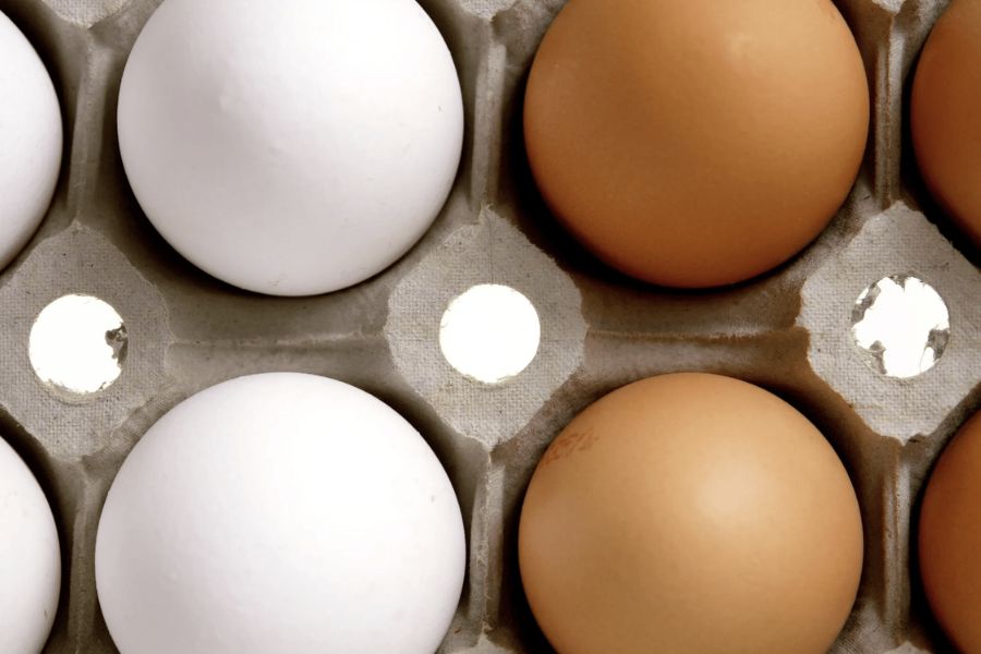 lessons from Black Friday