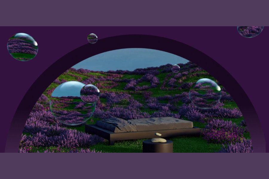 Dream Invention The Pioneering New Science of Dream Engineering - Rohit Bhargava